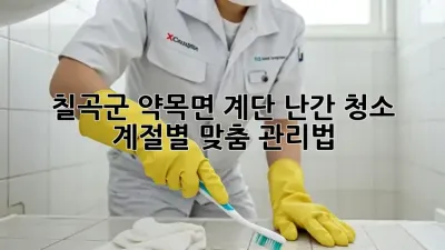 칠곡군 약목면 계단 난간 청소: 계절별 맞춤 관리법