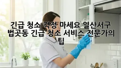 긴급 청소? 걱정 마세요! 일산서구 법곳동 긴급 청소 서비스 전문가의 팁