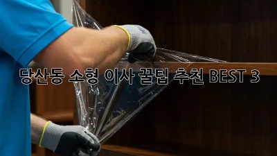 당산동 소형 이사 꿀팁🍯 추천 BEST 3